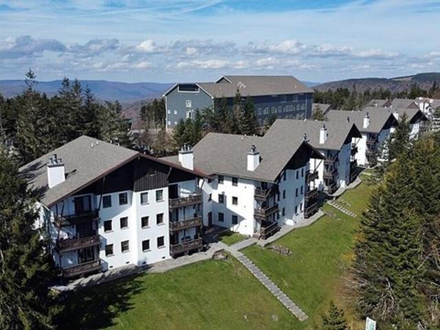 43 Whistlepunk, Snowshoe, WV 26209