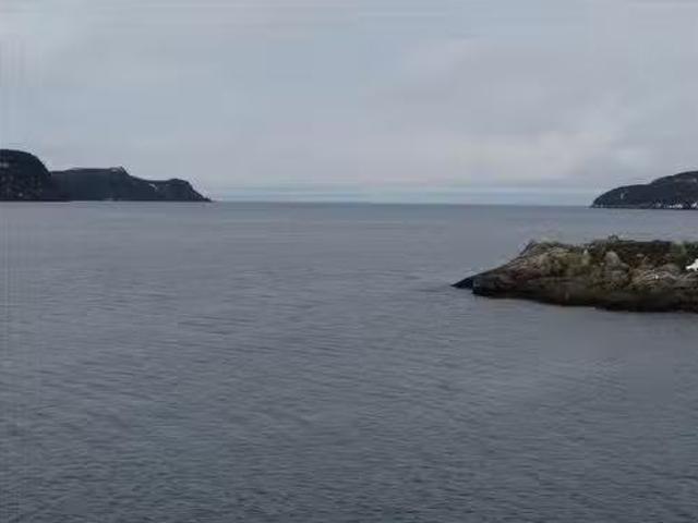 43 Cove Road, Colliers, NL, A0A 1Y0 vacant land for sale Li.