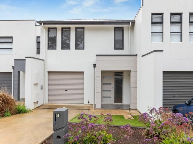 43 Clover Court, MOUNT BARKER, SA 5251