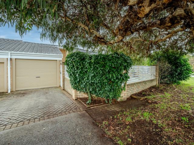 43A Spencer Avenue, Yokine, WA 6060 Villa for Rent Ray White Inner North
