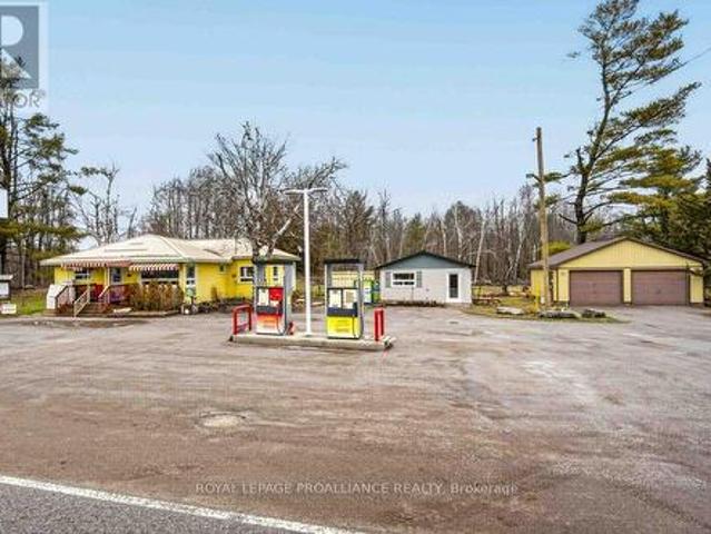 4007 County 6 Road, North Kawartha, ON, K0L 2H0 house for sale | Listing ID X13012 | Royal LePage