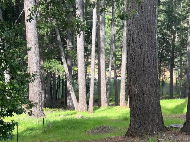 4000 Ridgewood Rd, Willits, CA 95490 | MLS #326018
