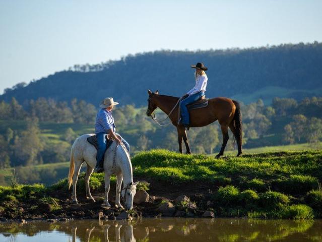 400 Breeders | $6,000,000 | Some of Australia's Safest Breeder Country