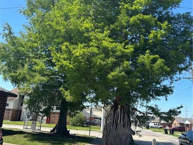 400 E Liberaux & Laplace Street