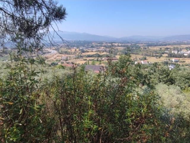 40100m2 de Terreno Rústico e Urbano com oportunidade para criação de Projecto de Turismo Rural Alcaria Fundão Castelo Branco