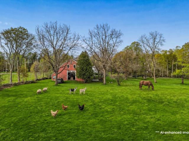 401 Alstead Center Road