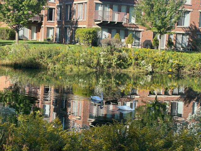 401 kelburn road # 114
