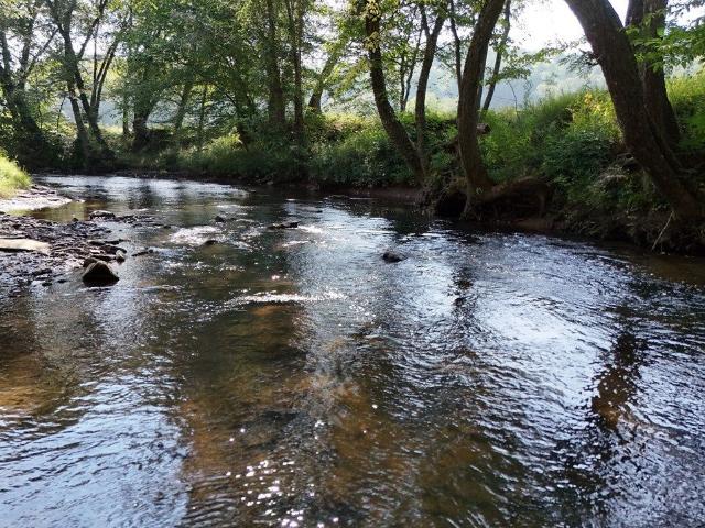 401 Mountain Rivers Road, Mineral Bluff, US, GA