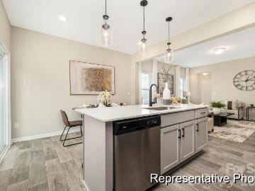 40254 Crooked Stick Drive # 1196