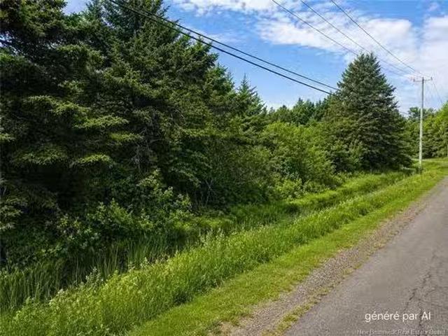 4027Sm Rue De L'Église, Tracadie, NB, E1X 1B1 vacant land fo.