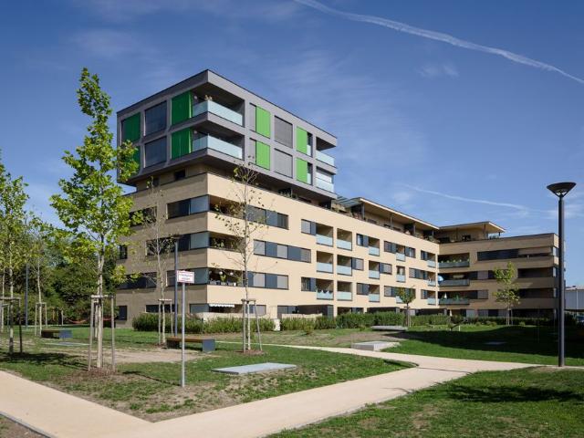 4020 Linz, Ellbognerstraße 45/23