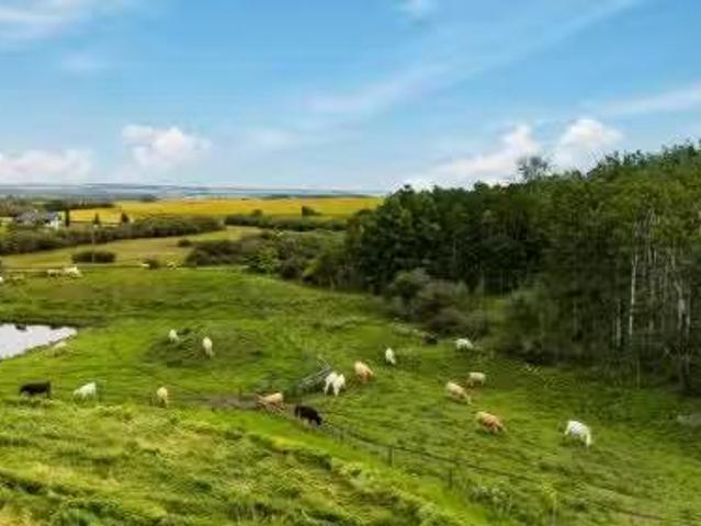 402 Avenue, Rural Foothills County, AB, T1V 2E0 vacant land.
