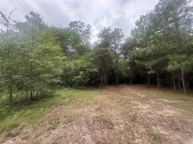 402 Long St, New Ellenton, SC 29809