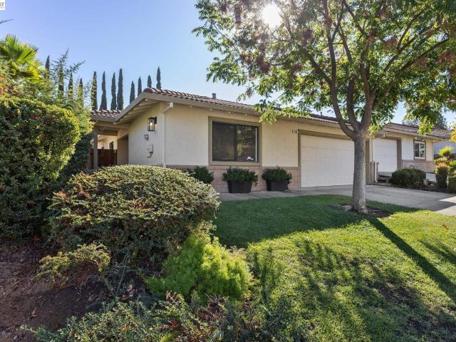 402 Vineyard Pl