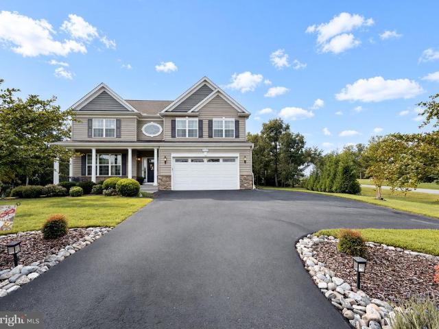 40319 Festoon Court