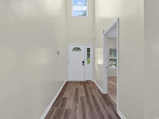 403 Treeline Cove