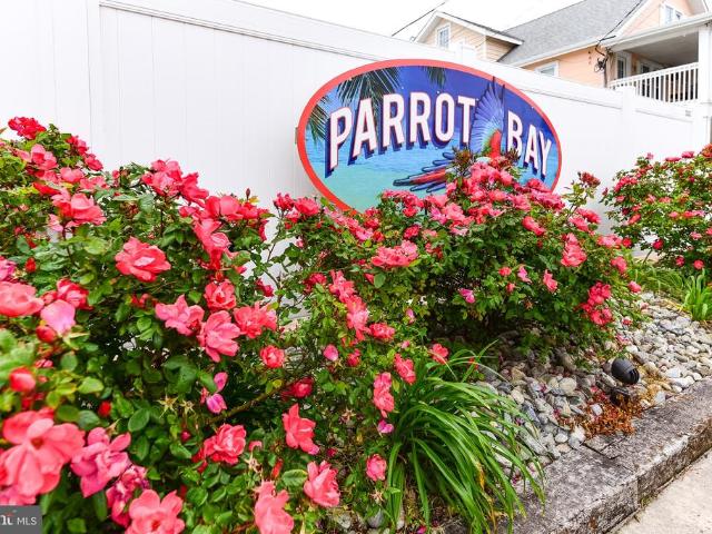 404 Saint Louis Avenue # 12