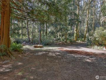 4050 Tree Frog Lane