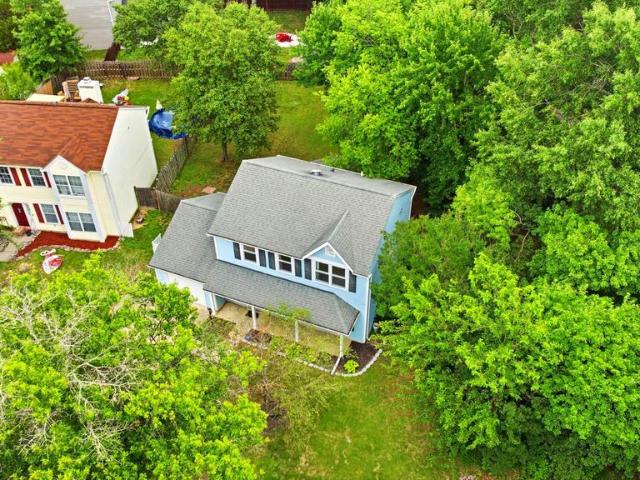 4060 Cottontop Court