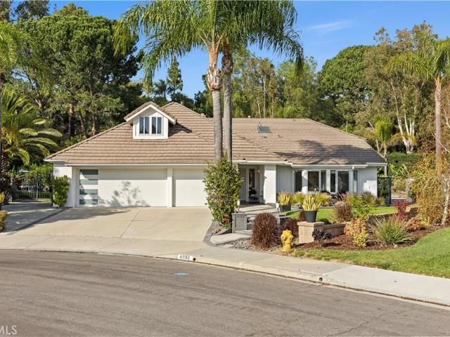 4060 Hickory Tree
