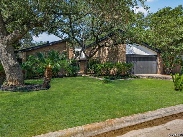 406 Wood Shadow St