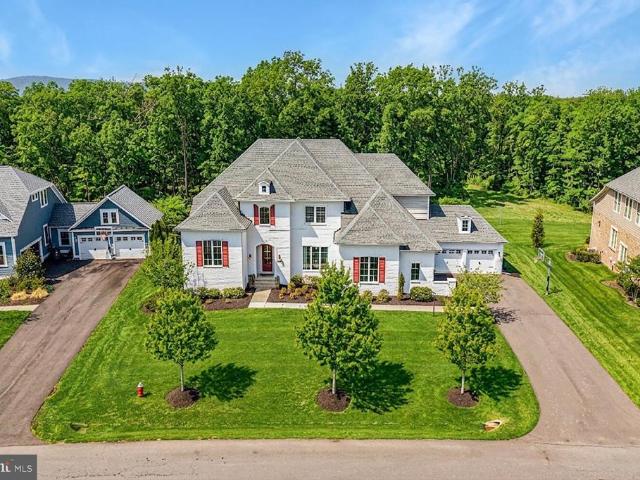 40872 Tulip Poplar Place