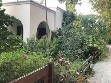 4088 HACKBERRY PL, DAVIS, CA 95618