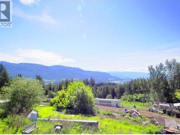 408 Grandview Bench Road, Grindrod, BC, V0E 1Y0 house for sale | Listing ID 10390 | Royal LePage