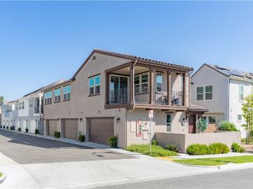 4099 Summer