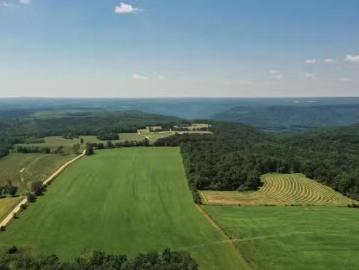 40 AC COUNTY ROAD 131, BRYANT, AL 35958