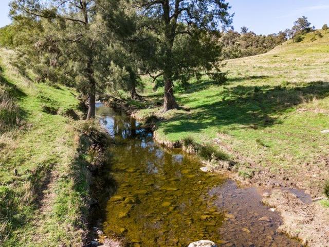 40 acres with creek + building entitlement