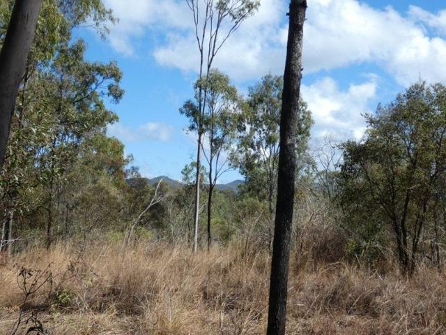 40 ACRES CLOSE TO BAFFLE CREEK & THE COAST