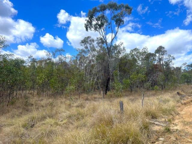 40 Acres of Bushland Escape