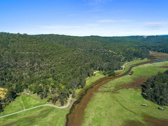 40 Acres of Natural Beauty
