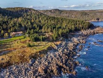 40 Cribbies Road, Tors Cove, NL, A0A 4A0 house for sale | Listing ID 1294 | Royal LePage