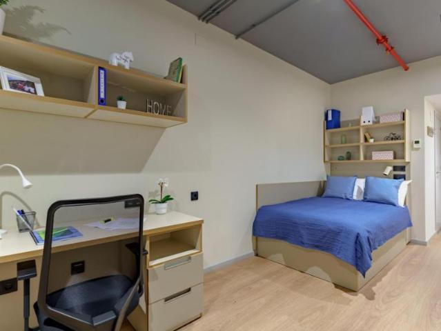 40 Dormitorio Apartamentos Granada Granada 103577029