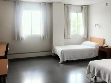 40 Dormitorio Apartamentos Sevilla Sevilla 103326723