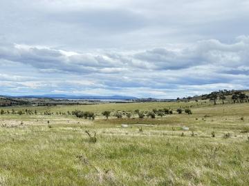 Orielton, Clarence, Tasmania, Penguin Island, Cloudy Bay, Kingborough, Tasmania Island