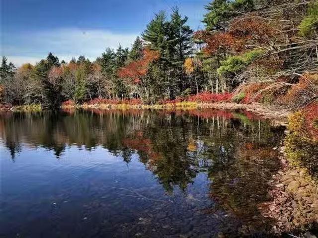 40 Lapland Road, Lunenburg County, NS, B4V 7T5 vacant land f.