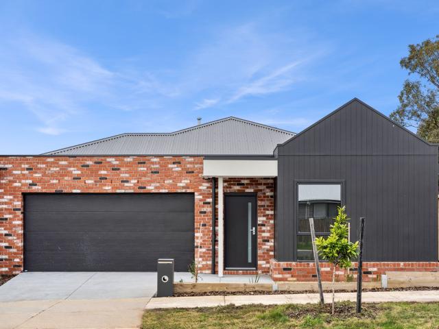 40 Leahy Cct, Gisborne