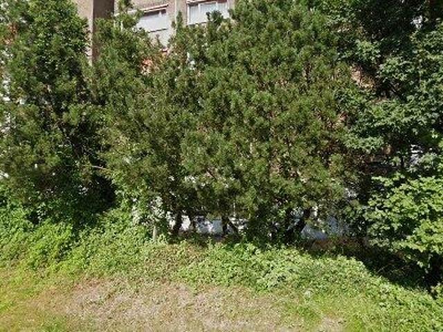 40 m2 apartment for rent in Heerlen
