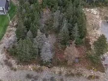 40 Micnoel Place, Pouch Cove, NL, A0A 3L0 vacant land for sa.