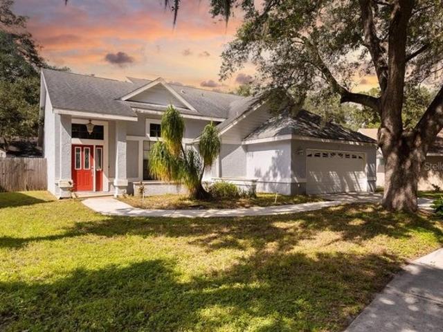 4119 Moreland Dr, Valrico, FL 33596