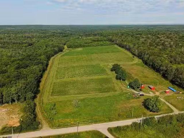 4113 Highway 340, Carleton, NS, B5A 5N9 farm for sale Listi.