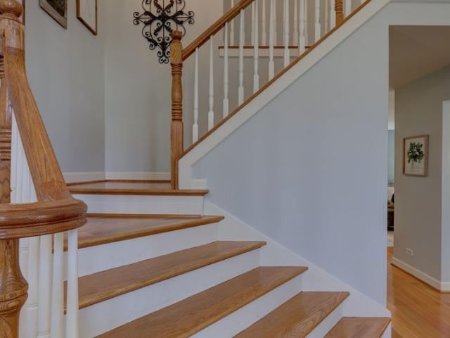 411 Belmont Lane