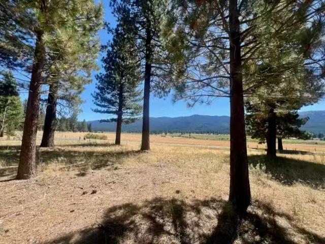 412 VALLEY RANCH DR, CLIO, CA 96106