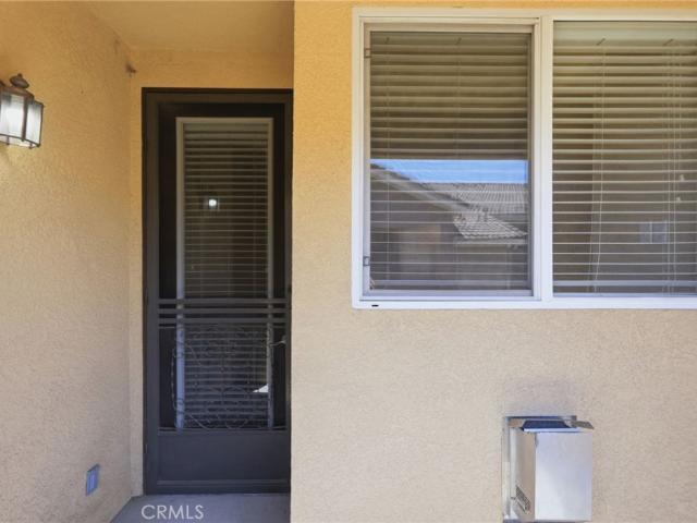 41410 Juniper