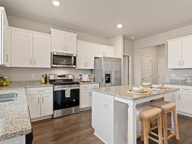 414 Wild Olive Drive