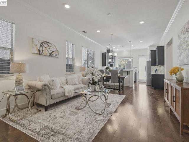 41548 Casabella Cmn