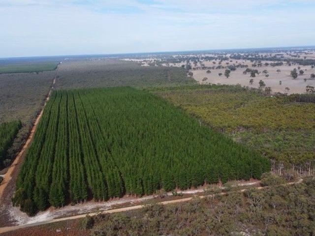 $415,000 Mixed Forestry and Picturesque Native Vegetation